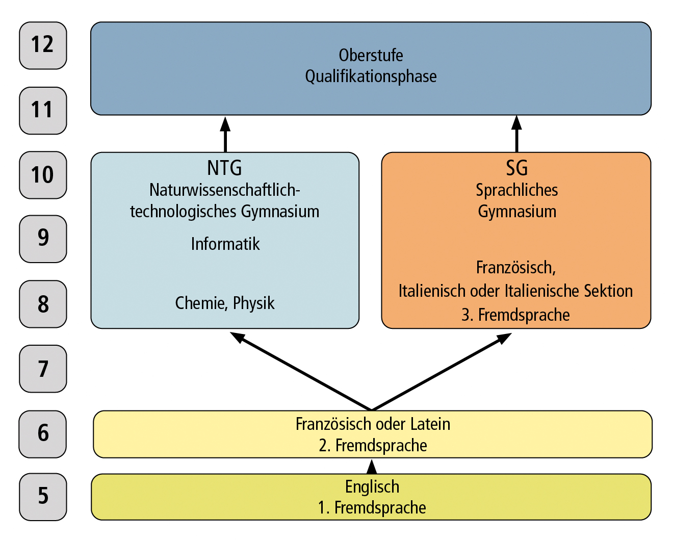 Bild Ausbildungsrichtungen